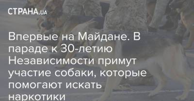 Впервые на Майдане. В параде к 30-летию Независимости примут участие собаки, которые помогают искать наркотики