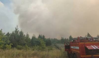 Причиной лесных пожаров в Тольятти предварительно назван поджог