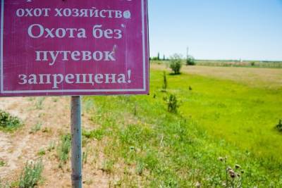 Жителя Волгоградской области оштрафовали за охоту в природном парке