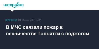 В МЧС связали пожар в лесничестве Тольятти с поджогом