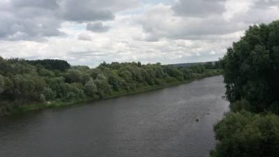 Волгоградский подросток скончался после прыжка с моста в реку