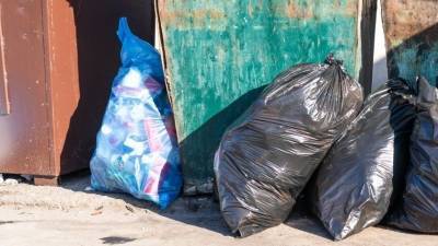 Человеческую ногу нашли возле мусорных баков в Приморье