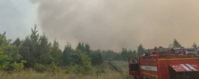 В Тольятти назвали основную версию возникновения лесного пожара