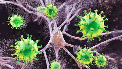 Ученый рассказал, в чем главная опасность «дельта» штамма коронавируса