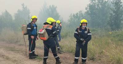 Уголовное дело о поджоге завели после крупного природного пожара в Тольятти