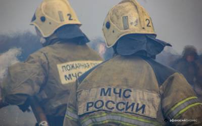 В Тверской области произошел пожар в лесу