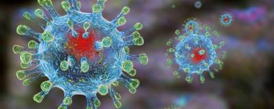 Инфекционист не исключил появления новых штаммов коронавируса