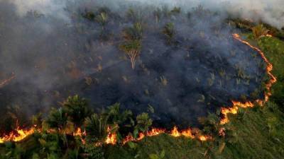 В регионах России лесные пожары тушат на площади более 687 тыс. га