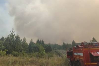 Лесной пожар в российском городе связали с поджогом