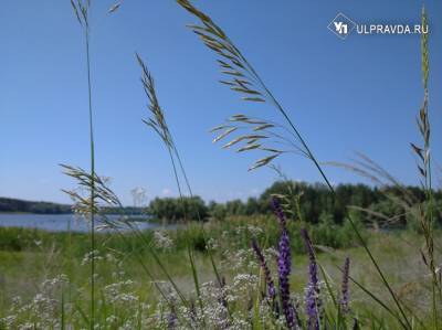 В Ульяновскую область прилетит ветер северный, но жара не уйдет