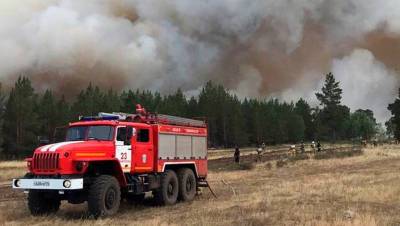 Мэр Тольятти назвал поджог причиной крупного лесного пожара