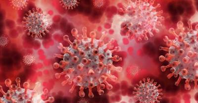 Учёный рассказал, за какой срок получится выяснить происхождение коронавируса