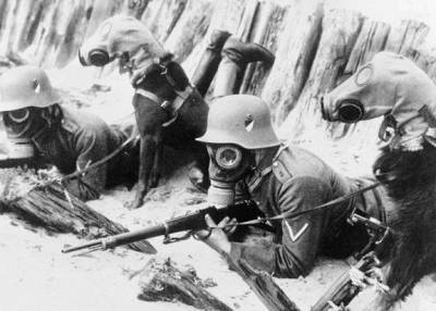 Как немцы применяли химическое оружие в СССР перед Великой Отечественной