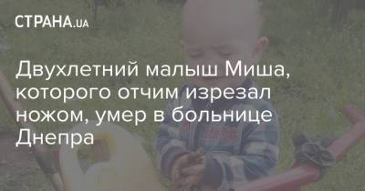 Двухлетний малыш Миша, которого отчим изрезал ножом, умер в больнице Днепра