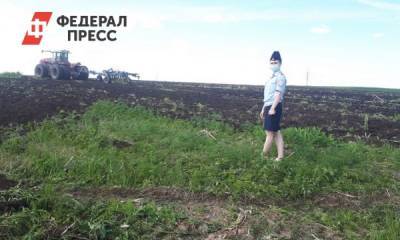 В Зиминском районе ликвидировали поле с коноплей