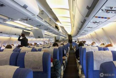 СК России начал проверку из-за открывшего дверь самолета пассажира