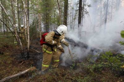 В Хабаровском крае продолжают бушевать пожары