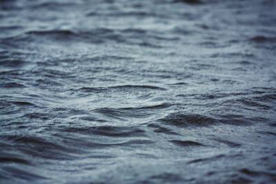 Мужчина утонул в озере в Сормовском парке