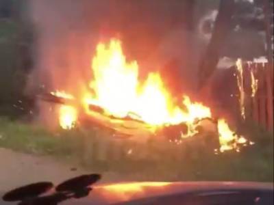 Видео: автомобиль с двумя людьми в салоне сгорел после удара в столб в Стрельцово
