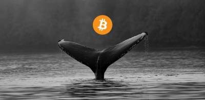 Биткоин-киты накапливают криптовалюту на медвежьих настроениях рынка