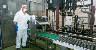 В Калининграде откроется швейцарская шоколадная фабрика