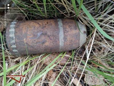 В Челябинской области саперы уничтожили боевой снаряд XIX века