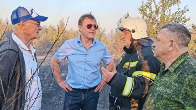 Николай Ренц - Поджог мог стать причиной пожара в тольяттинском лесу - vesti.ru - Самара - Тольятти