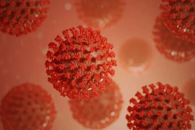 Учёный раскрыл мнение большинства специалистов о происхождении коронавируса