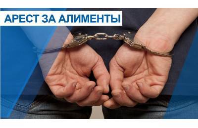 Житель Смоленской области оказался за решеткой за неуплату алиментов