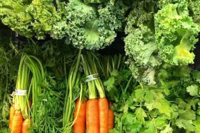 В Татарстане на 6% выросли в цене морковь и капуста