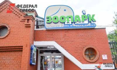 Куда переедет зоопарк Екатеринбурга: Новокольцовский vs Сысерть