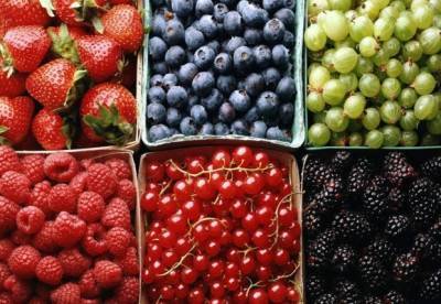 Диетолог назвала самые полезные летние ягоды