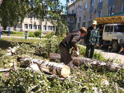 Областной центр очищают от аварийных деревьев