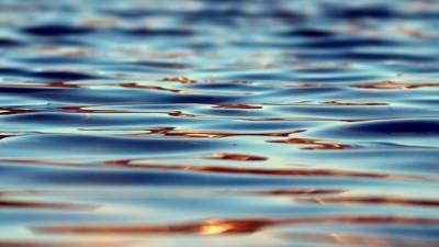 В Раздолье в озере утонул гражданин Камеруна