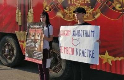 В Калуге прошел пикет против передвижного цирка с животными