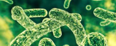 Ученые: На микробиом кишечника влияют генетические факторы