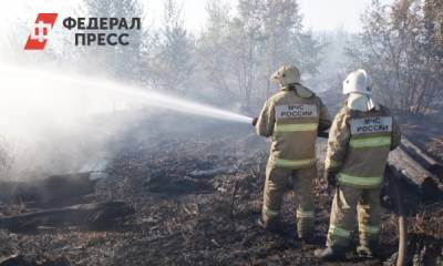 В Тольятти ввели режим ЧС из-за лесного пожара