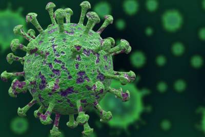 Еще 154 новгородца заразились коронавирусом