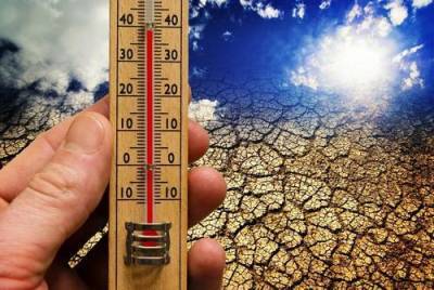 Ученый предупредил о возможном повышении средней температуры Земли на пять градусов