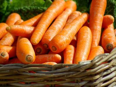 В Новосибирске цена на морковь достигла 215 рублей за килограмм