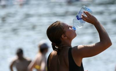 Аномальная жара в Новгородской области бьет 100-летние рекорды