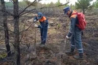 Под Челябинском ликвидировали открытое горение лесных пожаров