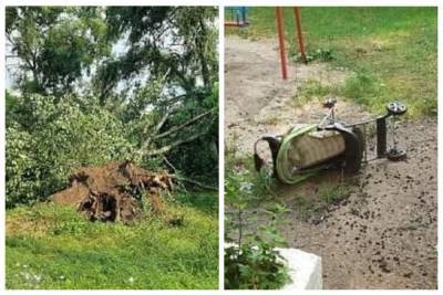 Ураган свирепствовал на Одесчине, ветер вырвал деревья с корнями: последствия стихии