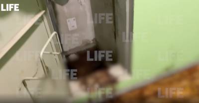 Лайф публикует жуткое видео из Люберец, где в пожарном шкафу нашли тело женщины
