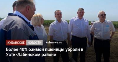 Более 40% озимой пшеницы убрали в Усть-Лабинском районе