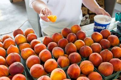 Защита для сердца и источник молодости: Медики назвали малоизвестные полезные свойства персиков