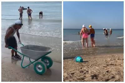 Отдых украинцев омрачили медузы, их вывозят с пляжа тачками: кадры нашествия