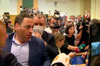 Грузинскому депутату порвали пиджак при драке в парламенте