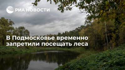 Лесхоз ввел ограничения на посещение леса из-за угрозы пожара в Московской области