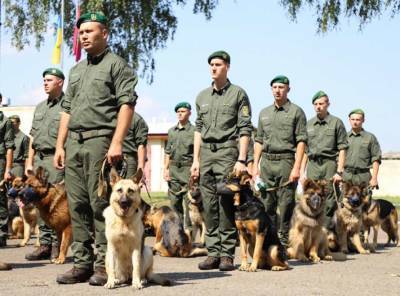 Собаки пограничников впервые станут участниками военного парада в Киеве